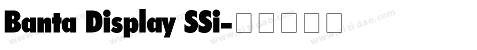 Banta Display SSi字体转换